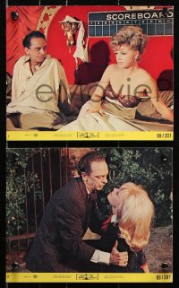 8c093 LOVE GOD 5 8x10 mini LCs 1969 Don Knotts is the world's most romantic male with sexy babes!