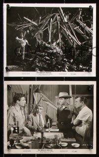 8c545 MONOLITH MONSTERS 9 8x10 stills 1957 great images of Grant Williams, Lola Albright, more!