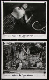 8c910 NIGHT OF THE COBRA WOMAN 3 8x10 stills 1972 only the snake could satisfy her unearthly desires!