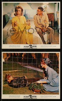 8c120 SECRET WAR OF HARRY FRIGG 4 color 8x10 stills 1968 Paul Newman in the title role, Sylva Koscina