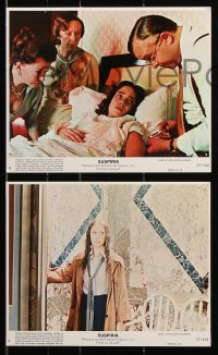8c123 SUSPIRIA 4 8x10 mini LCs 1977 classic Dario Argento horror, Jessica Harper, Valli!