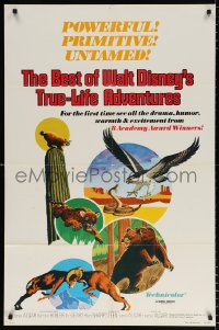 8f093 BEST OF WALT DISNEY'S TRUE-LIFE ADVENTURES 1sh 1975 powerful, primitive, cool animal art!