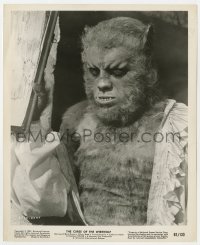 8g228 CURSE OF THE WEREWOLF 8.25x10 still 1961 best close up of Oliver Reed in full monster makeup!