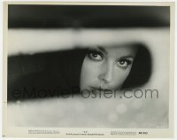 8g302 EYE OF THE DEVIL 8x10.25 still 1967 cool image of beautiful Sharon Tate in rear view mirror!