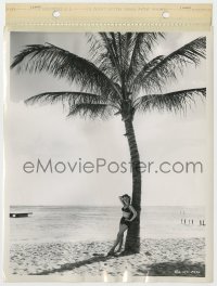 8g330 FROM HERE TO ETERNITY candid 8x11 key book still 1953 lovely Donna Reed on beach by Lippman!
