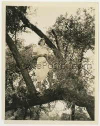 8g544 LITTLE MAN WHAT NOW 8x10.25 still 1934 great image of Margaret Sullavan standing in tree!