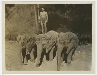 8g888 TARZAN FINDS A SON 8x10.25 still 1939 great image of Johnny Weissmuller on elephants!