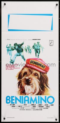 8j813 BENJI Italian locandina 1975 classic dog movie, different Ezio Tarantelli art w/ blue title!