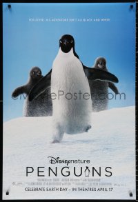 8k841 PENGUINS advance DS 1sh 2019 Ed Helms narrates, his adventure isn't all black and white!