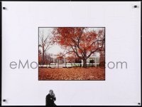 8k413 FARNSWORTH HOUSE 27x36 special poster 2010s Ludwig Mies van der Rohe, great image!