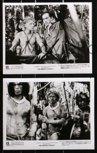 8m434 EMERALD FOREST presskit w/ 12 stills 1985 directed by John Boorman, based on a true story!