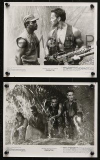 8m530 PREDATOR presskit w/ 7 stills 1987 Arnold Schwarzenegger, Carl Weathers, sci-fi!