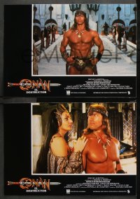 8r027 CONAN THE DESTROYER 12 Spanish LCs 1984 Arnold Schwarzenegger, Grace Jones, d'Abo, different!