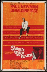 8t863 SWEET BIRD OF YOUTH 1sh 1962 Paul Newman, Geraldine Page, from Tennessee Williams' play!