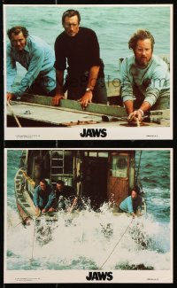 8w184 JAWS 2 8x10 mini LCs R1979 Spielberg shark classic, Roy Scheider, Robert Shaw, Dreyfuss!
