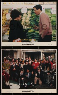 8w161 ANIMAL HOUSE 3 8x10 mini LCs 1978 John Belushi, top cast, Tim Matheson with cucumber!