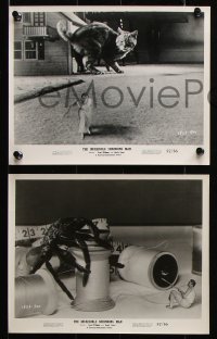 8w766 INCREDIBLE SHRINKING MAN 6 8x10 stills 1957 with great fx images of tiny Grant Williams!