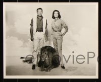 8w923 LION 3 deluxe 8x10 stills 1963 images of William Holden & sexiest Capucine, one with big cat!