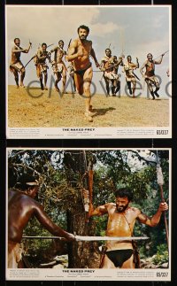 8w007 NAKED PREY 12 color 8x10 stills 1965 Cornel Wilde stripped in Africa running from killers!