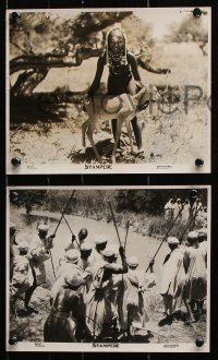 8w935 STAMPEDE 3 deluxe English 8x10 stills 1930 great completely different scenes shot in Africa!