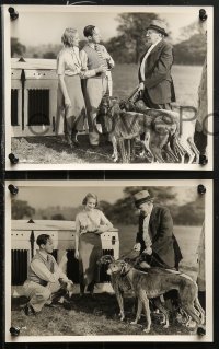 8w381 WILD BOY 15 English 8x10 stills 1934 Sonnie Hale, Gwyneth Lloyd, English greyhound dog racing!