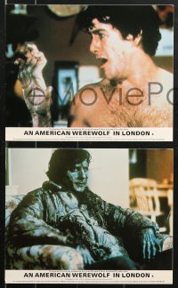 8w037 AMERICAN WEREWOLF IN LONDON 8 color English FOH LCs 1981 Naughton, Agutter, Dunne, Landis!