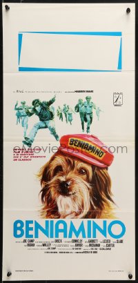 9b798 BENJI Italian locandina 1975 classic dog movie, different Ezio Tarantelli art w/ blue title!
