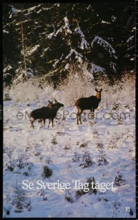 9c064 SE SVERIGE. TAG TAGET 24x39 Swedish travel poster 1976 moose in the snow, take the train!
