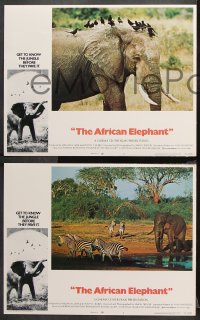 9g031 AFRICAN ELEPHANT 8 LCs 1971 get to know the jungle before they pave it!
