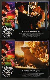 9g053 BABE 8 int'l LCs 1995 James Cromwell, classic talking pig comedy, the gallant pig!