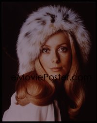 9h205 CATHERINE DENEUVE 4x5 transparency 1970s glamorous close portrait wearing fur hat!