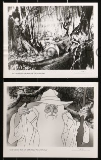 9m039 LORD OF THE RINGS 12 8x10 stills 1978 J.R.R. Tolkien, Ralph Bakshi, 3 candids, 6 supplements!