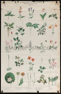 1h016 HYDE CHART OF WILD FLOWERS 28x43 special poster 1960 Alice Earle Hyde art, from 1927 print!