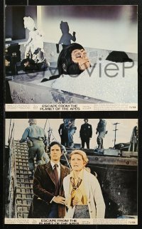 1x027 ESCAPE FROM THE PLANET OF THE APES 8 color 8x10 stills 1971 McDowall, Hunter, Mineo!