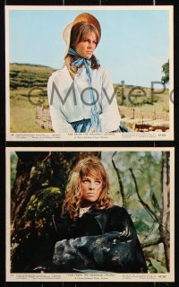 1x004 FAR FROM THE MADDING CROWD 12 color 8x10 stills 1968 Julie Christie, John Schlesinger classic!