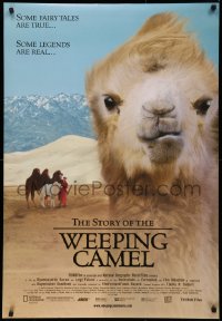 2y0977 STORY OF THE WEEPING CAMEL DS 1sh 2004 cool image of the desert's favorite animal!