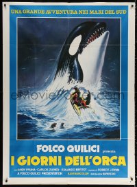 2z0604 KILLERS OF THE WILD Italian 1p 1978 different art of men in raft & killer whale emerging!