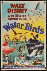 3a1185 WATER BIRDS 1sh 1952 Walt Disney True Life Adventure, Pelicans & other avians!