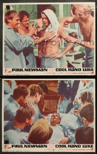 3g0690 COOL HAND LUKE 2 LCs 1967 classic Paul Newman in both images, George Kennedy, down and out!