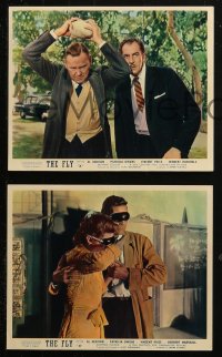 3g0826 FLY 3 color English FOH LCs 1958 Al Hedison, Patricia Owens, Vincent Price, classic sci-fi!