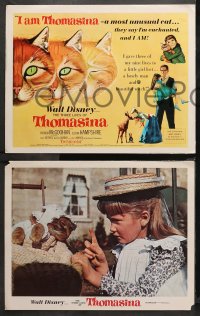 3g0361 THREE LIVES OF THOMASINA 8 LCs 1964 Walt Disney, cool images of cat with Hampshire, kids!