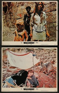3g0382 WALKABOUT 8 LCs 1971 Jenny Agutter in the Outback w/David Gulpilil, Nicolas Roeg classic!