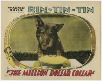 3m0304 MILLION DOLLAR COLLAR LC 1929 wonderful portrait of Rin Tin Tin staring at pie, ultra rare!