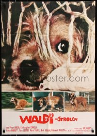 3x0113 BENJI German 1975 Joe Camp, classic dog movie, wonderful different images!