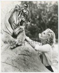 3y0902 TIPPI HEDREN signed 8x10 REPRO still 1980s great close up of the actress with a real tiger!