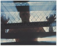 3z0010 BLADE RUNNER color 8x10 still 1982 Ridley Scott, cool image of Rutger Hauer behind fence!