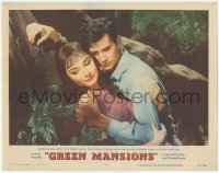 3z0824 GREEN MANSIONS LC #3 1959 Anthony Perkins finds his loved one Audrey Hepburn in the forest!