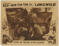 3z0943 LAW OF THE WILD chapter 10 LC 1934 c/u of snarling Rin Tin Tin Jr. pinning man to the ground!