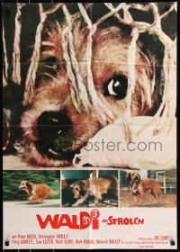 4m0168 BENJI German 1975 Joe Camp, classic dog movie, wonderful different images!