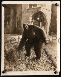 4r1440 GORILLA 2 8x10 stills 1927 wild image of creepy giant ape grabbing straw and baby monkey!